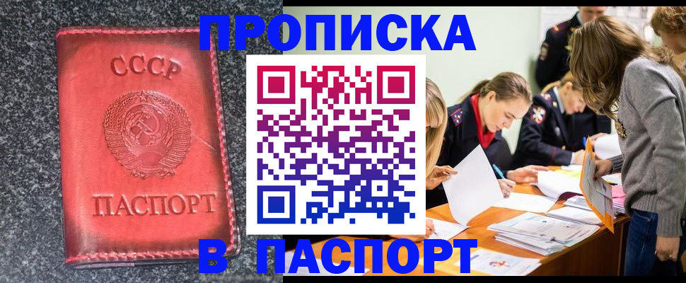 прописка для школы в Черногорске